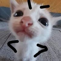 คุยเล่นป่ะ