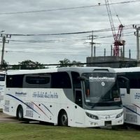 Bus ตรวจเข็มขัด