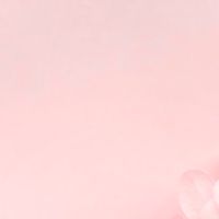 インスタ最新戦略1day講座