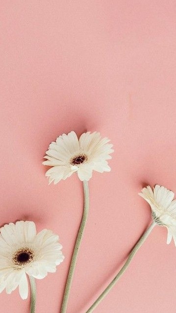 2718321 MATH PCK ELEM TCH