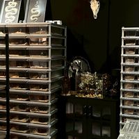 渺小動物園Tiny-zoo店群