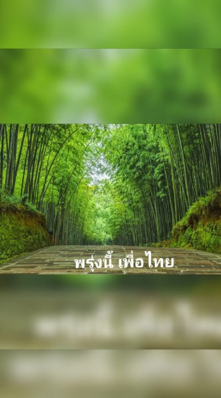 สมาชิกพรรคเพื่อไทยเขต3ยส.