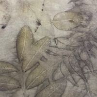 威廉染布-植物印染
