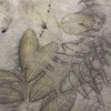 威廉染布-植物印染