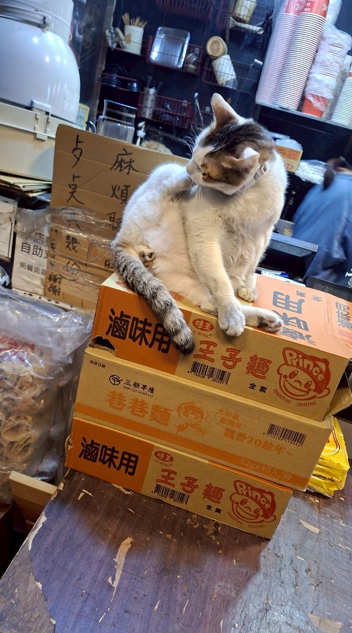 開心聊天群