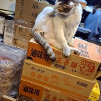 開心聊天群