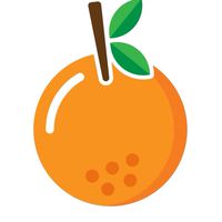長照資訊、醫療器材團購//康橙健康生活（長期照護、保健食品、醫療器材、補助申請、尿布、抽痰管、輪椅）