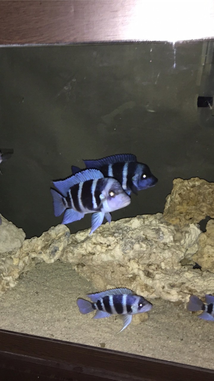 水族交流分享地