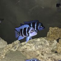 水族交流分享地