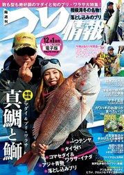 つり情報