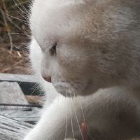 武礼堂の部屋