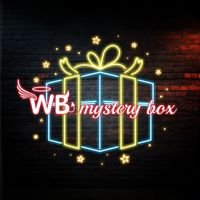 🎁WB Mystery Box🎁