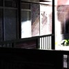 エンドロールは流れない 『ゾンビ』『現代』『異能』『オリキャラ』