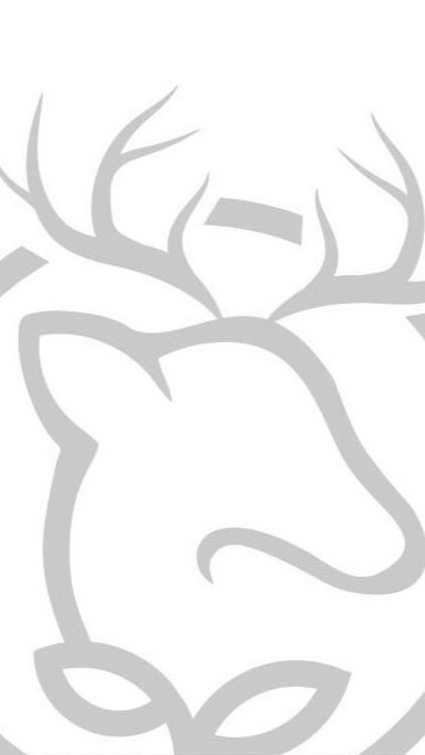 Dear deer小鹿生活販賣所🦌