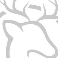 Dear deer小鹿生活販賣所🦌