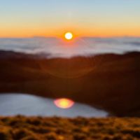 soulbelly community