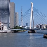 鬼ごっこサークル