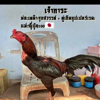 ซุ้ม ทรัพย์มังกร