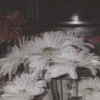 ร้องเพลงกันนน/เหงา/หาเพื่อน/หาแฟน