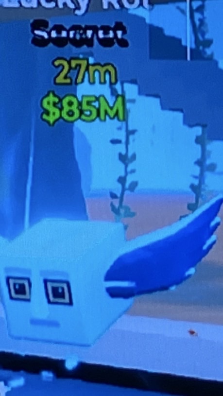 フォトナブレインロット