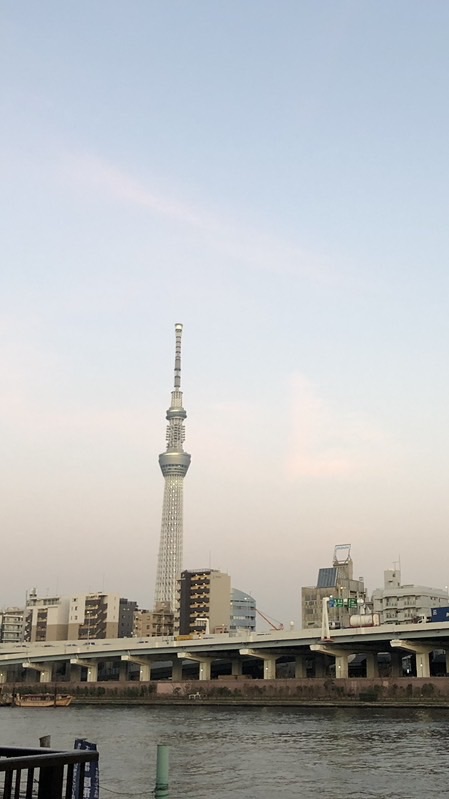 蘆洲湧蓮何佳佳蔥油餅