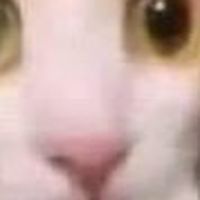 測試