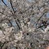 板前の主催する料理交流会