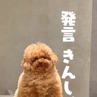 むぎっこ🧸