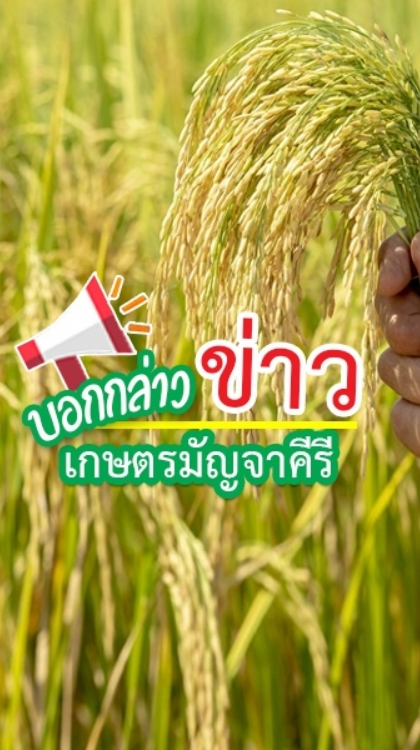 🌾บอกกล่าวข่าวเกษตรมัญจาคีรี