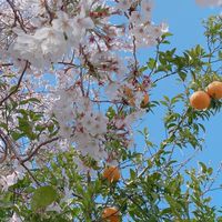 🈴29回言語聴覚士国家試験絶対合格🈴