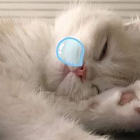 微笑