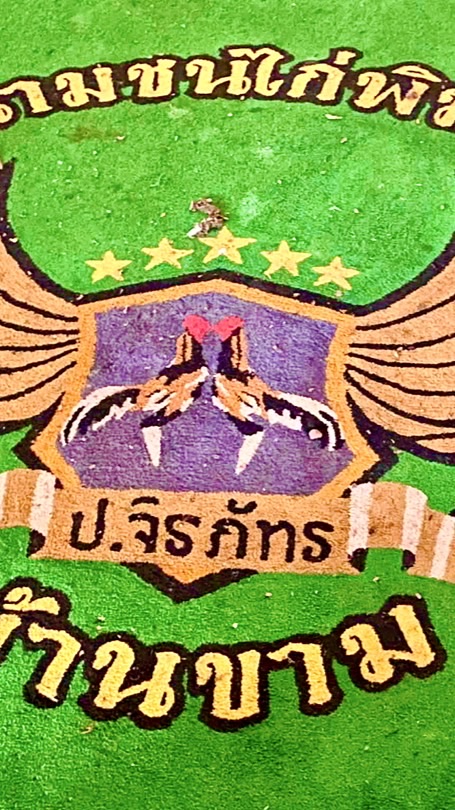 สนามไก่ชน บ้านขาม พิมาย