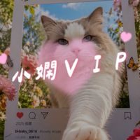 小嫻VIP小宇宙 ♡