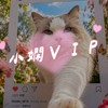 小嫻VIP小宇宙 ♡