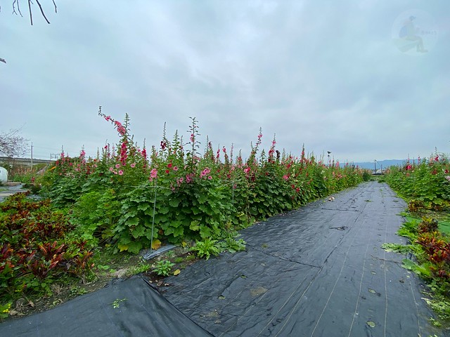 田中窯創藝園區