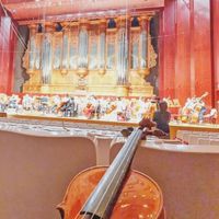🎻張文齡老師個課班-青埔國小🦋
