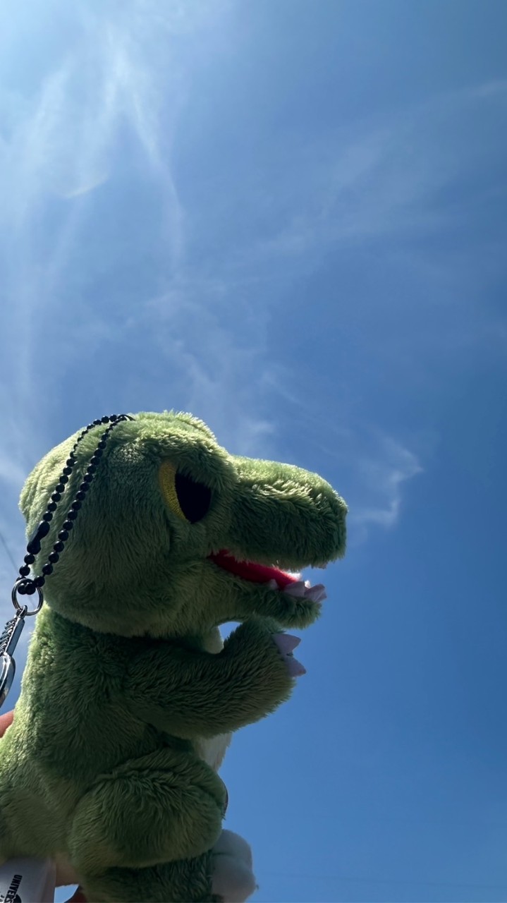 らーぴあ族🦖🫰