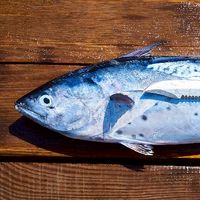 澎湖海鮮特產訂購、旅行分享-釣魚衝浪、餐廳飯店、民宿別墅、離島旅遊、地陪遊覽、租車購物、買賣名產美食
