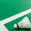 แบดมินตันสีเขียว🏸🟩 2569