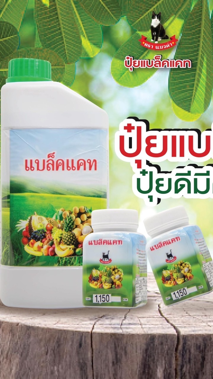 แบล็คแคทแฟนคลับ