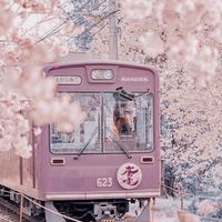 《品味旅行家》國內/外旅遊好康報您知