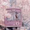《品味旅行家》國內/外旅遊好康報您知