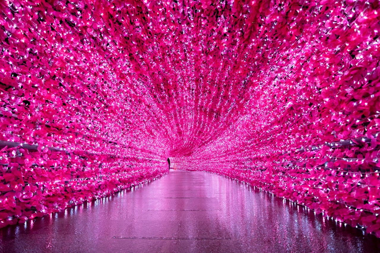 新北歡樂耶誕城;蜘蛛人;3D地景;光雕秀;樂高;積木