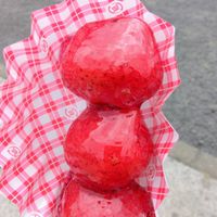 ライブトーク