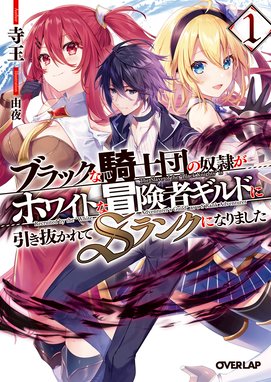 影の宮廷魔術師 影の宮廷魔術師 2 無能だと思われていた男 実は最強の軍師だった 羽田遼亮 Line マンガ