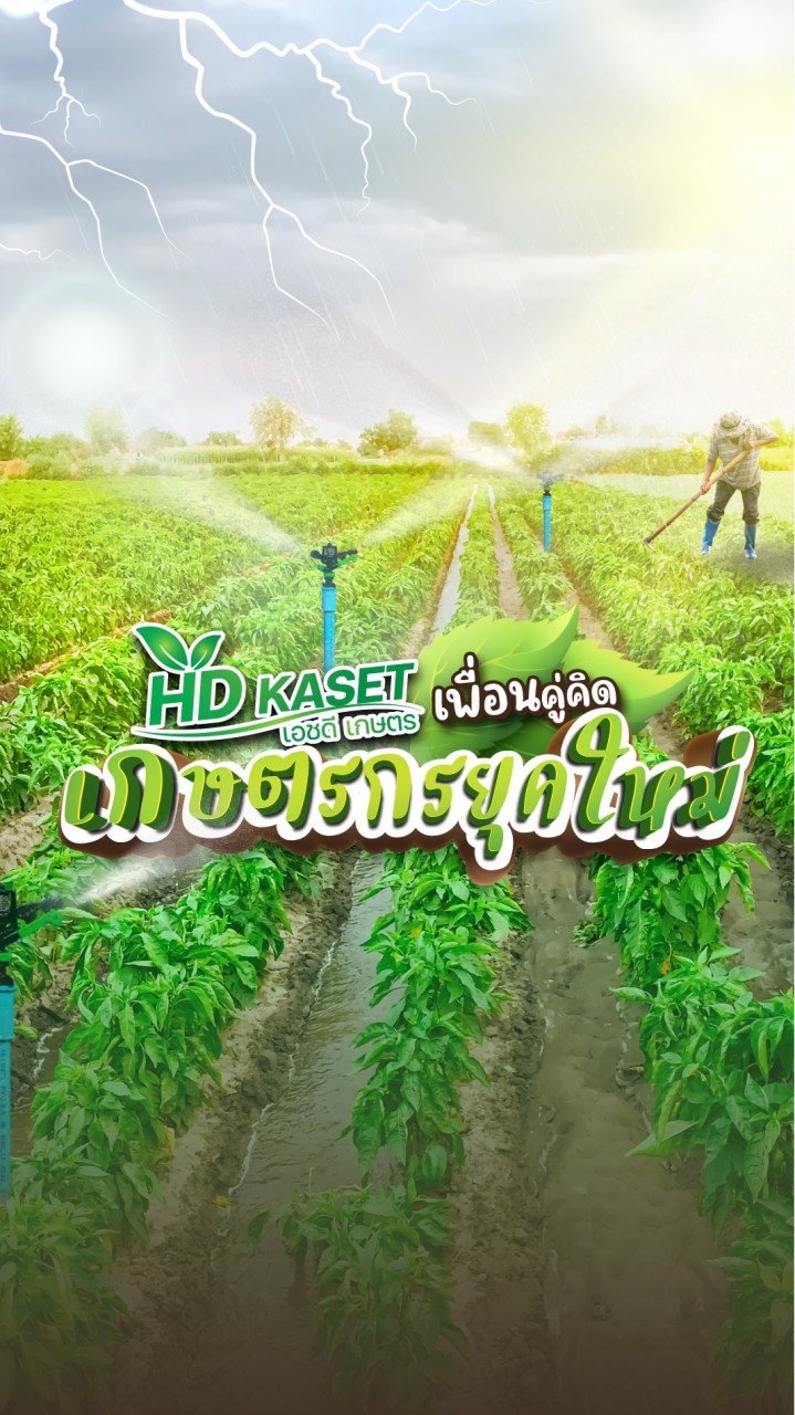 HDkaset เพื่อนคู่คิด เกษตรกรยุคใหม่