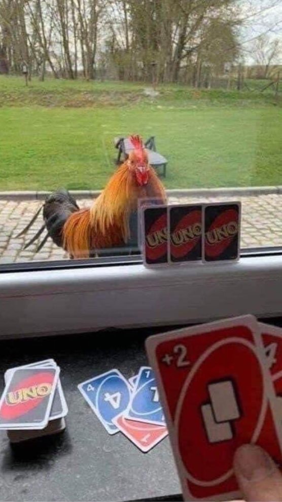Board Game