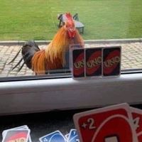 Board Game