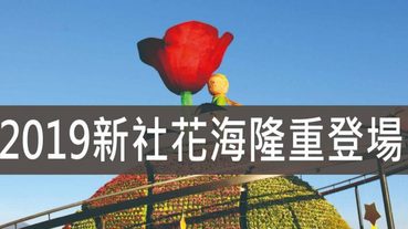 2019新社花海,幸福花海 慢遊山城 悠遊台三線花海花毯讓你一次拍的夠