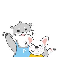 Petcho x Tiktok Creators